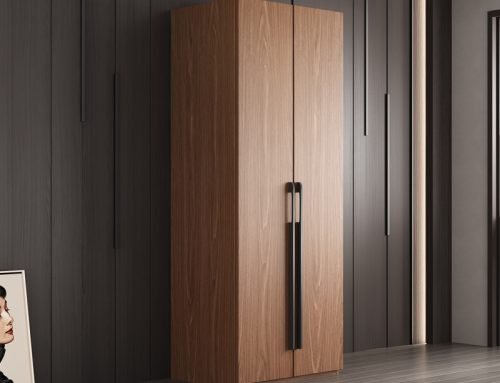 Simple, Functional & Space-Saving 2door wardrobe Storage Solution